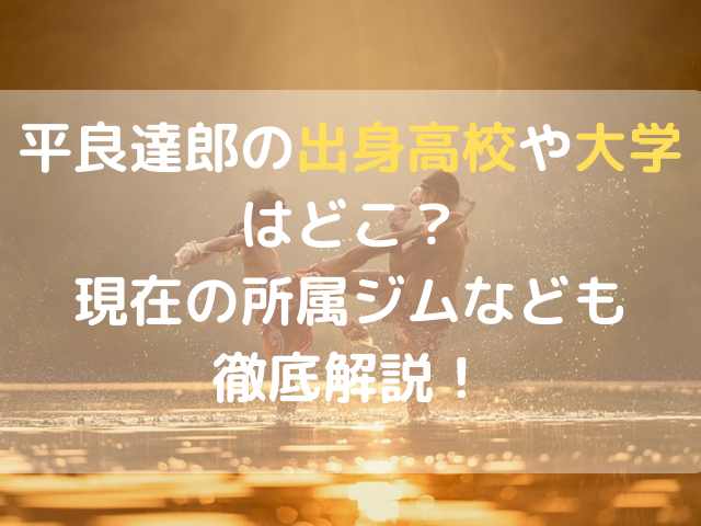 平良達郎の出身高校や大学はどこ？現在の所属ジムなども徹底解説！